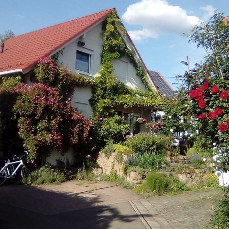 Moebliertes Zimmer, Pluederhausen Pluderhausen المظهر الخارجي الصورة